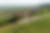 The testing protocol subjects each vehicle to a rigorous evaluation across the diverse landscapes of Alsace – extending through winding country roads where the W16 Mistral particularly excels.